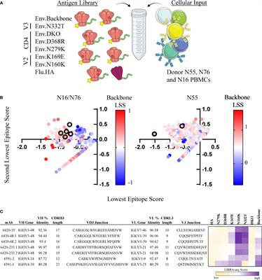 Frontiers | High-Throughput B Cell Epitope Determination By Next ...